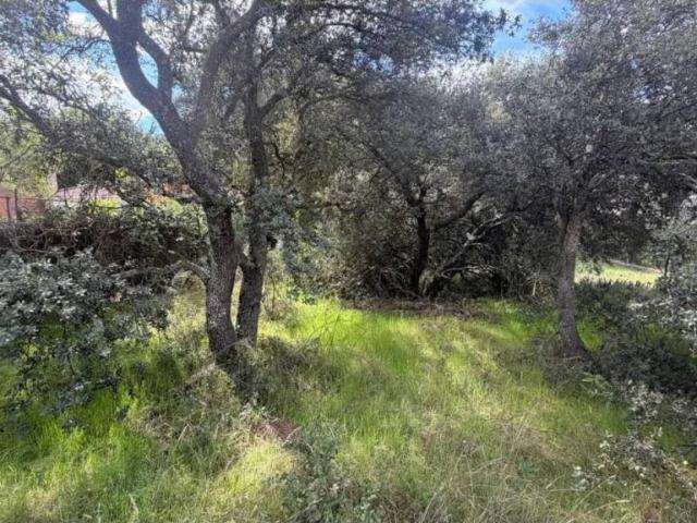 Terreno en venta en Maello, Castilla y León
