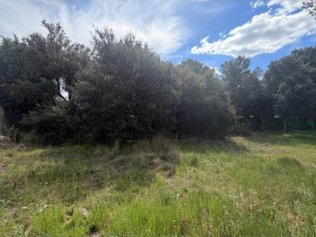 Terreno en venta en Maello, Castilla y León