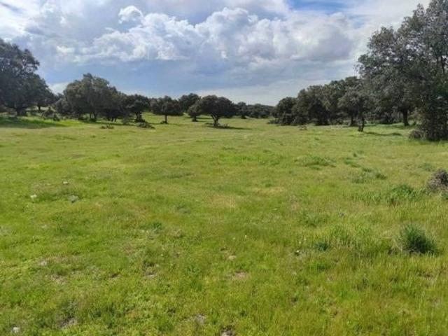 Terreno en venta en Maello, Castilla y León