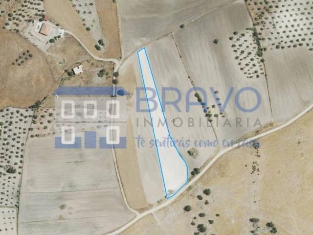 Terreno en venta en Magacela, Extremadura