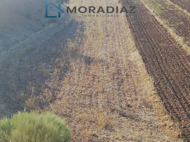 Terreno en venta en Magacela, Badajoz