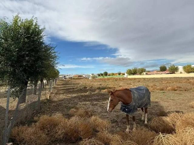 Terreno en venta en Magán, Castilla-La Mancha