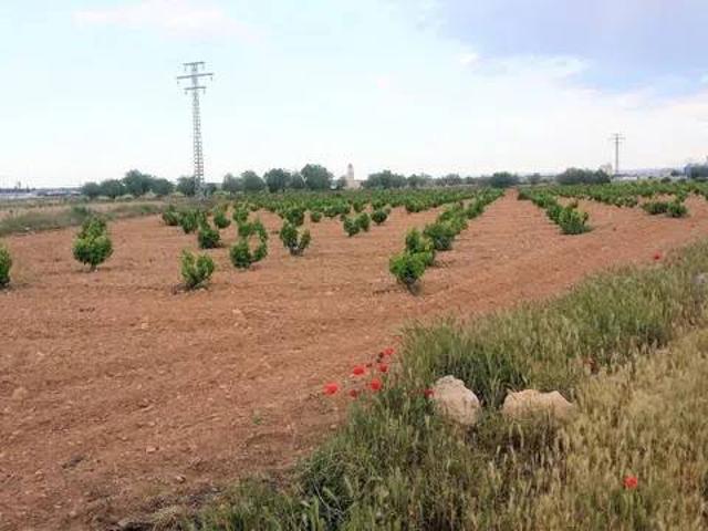 Terreno en venta en Mahora, Castilla-La Mancha