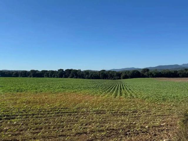 Terreno en venta en Garrotxa, Catalunya