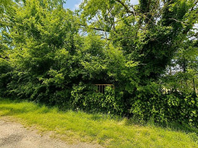 Terreno en venta en Garrotxa, Catalunya