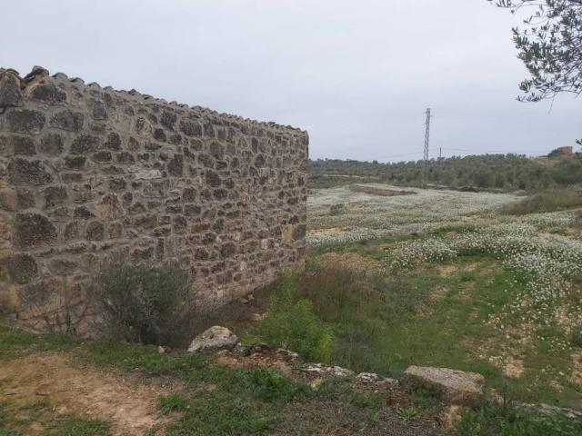 Terreno en venta en Segrià, Catalunya