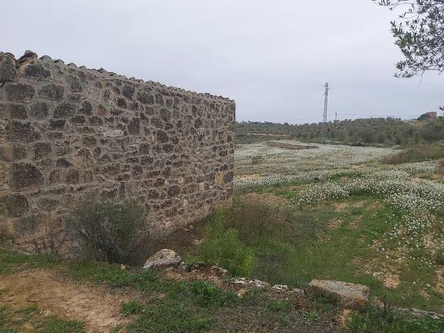 Terreno en venta en Segrià, Catalunya