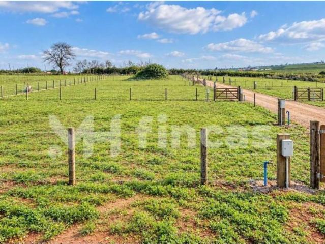 Terreno en venta en Mairena del Alcor, Sevilla
