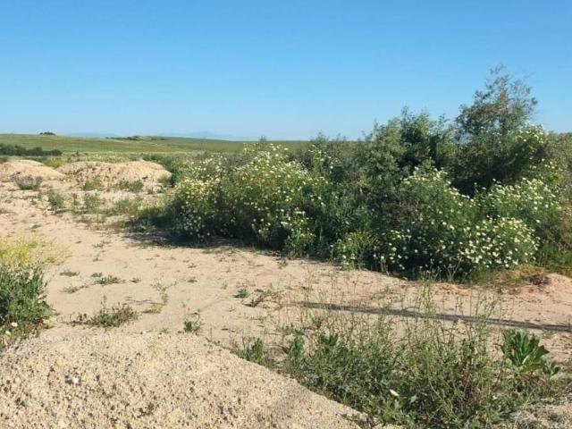 Terreno en venta en Mairena Del Aljarafe, Andalucía
