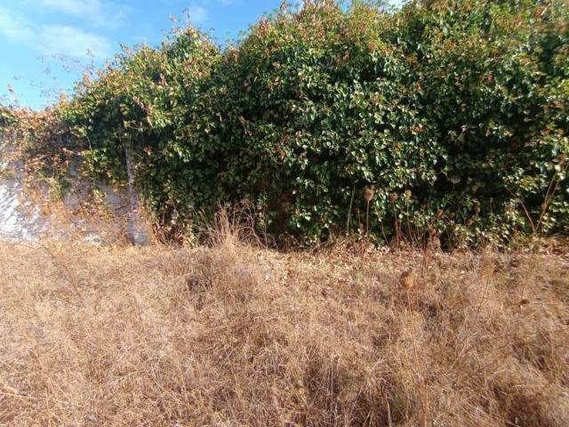 Terreno en venta en Mairena Del Aljarafe, Andalucía