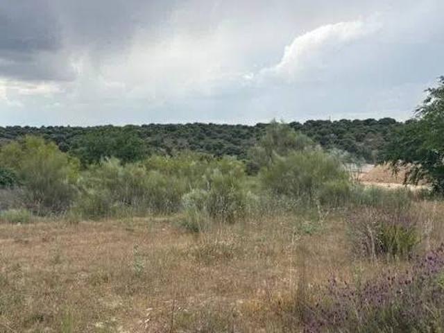 Terreno en venta en El Mayorazgo, Majadahonda