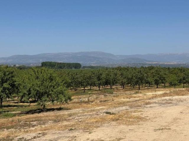 Terreno en venta en Majadas, Extremadura