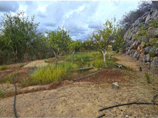 Terreno en venta en Málaga-Costa del Sol, Andalucía