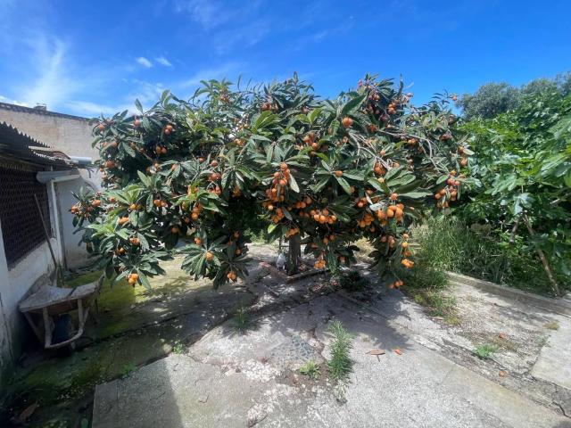 Terreno en venta en Málaga, Puerto De La Torre