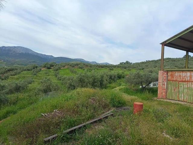 Terreno en venta en Málaga-Costa del Sol, Andalucía