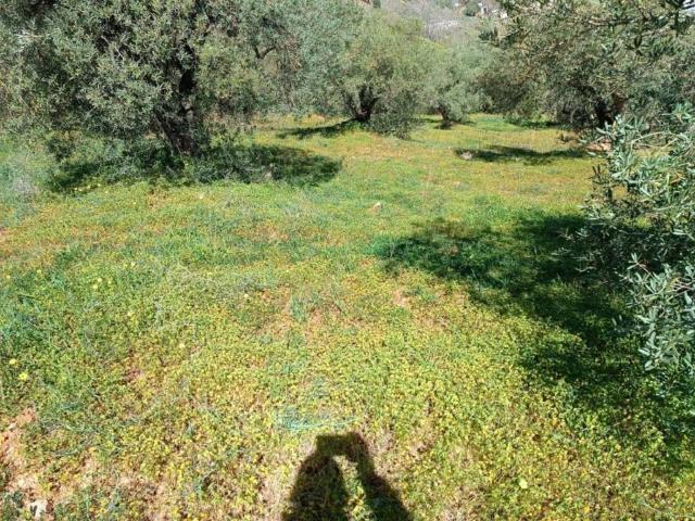 Terreno en venta en Málaga-Costa del Sol, Andalucía