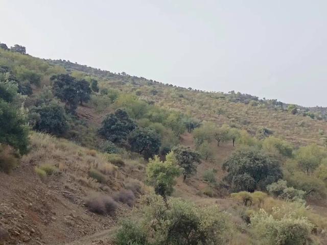 Terreno en venta en Málaga-Costa del Sol, Andalucía