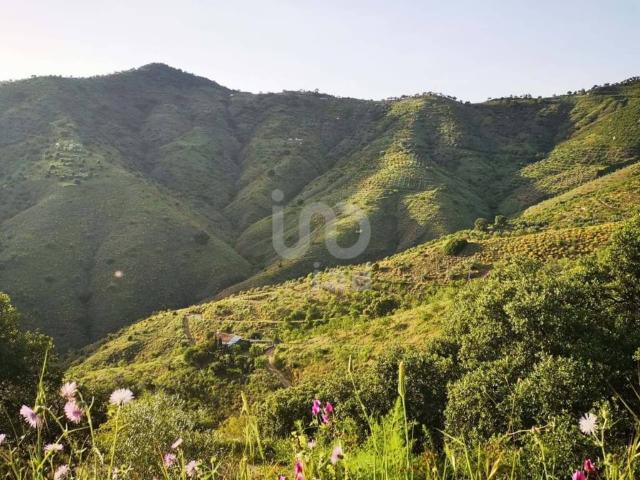Terreno en venta en Málaga, Este