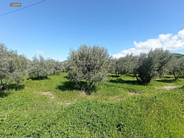 Terreno en venta en Málaga