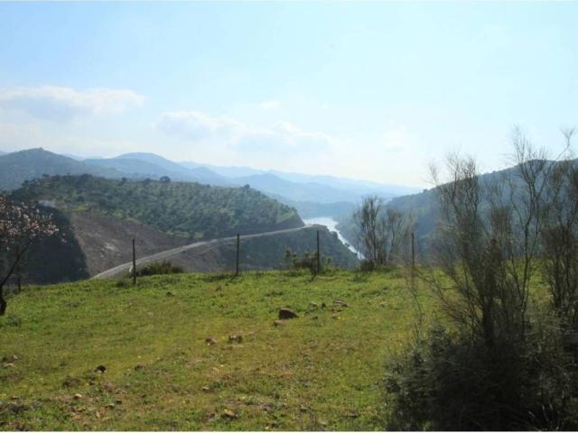 Terreno en venta en Málaga, Puerto De La Torre