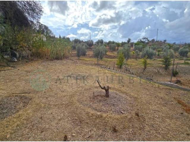 Terreno en venta en Málaga