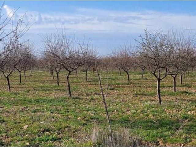 Terreno en venta en Malagón, Castilla-La Mancha