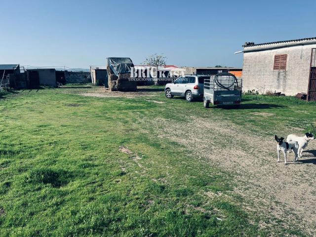 Terreno en venta en Malpartida De Cáceres