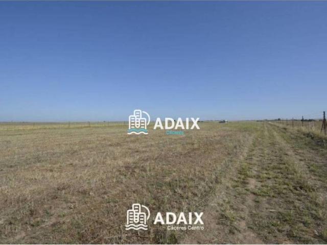 Terreno en venta en Malpartida De Cáceres, Extremadura