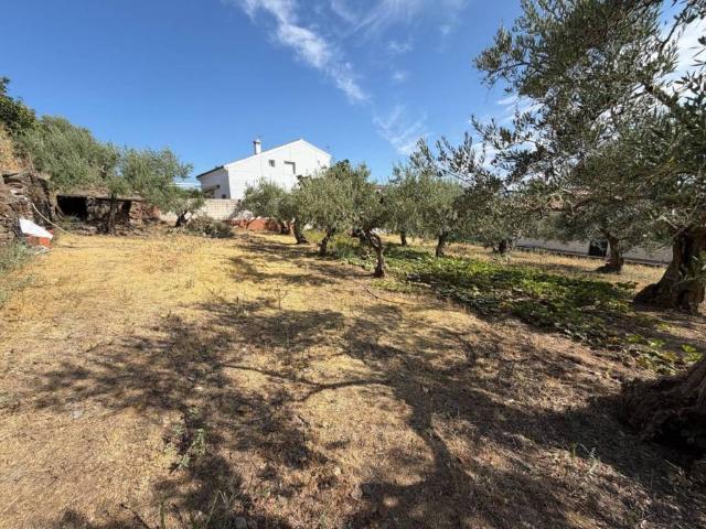 Terreno en venta en Malpartida De Plasencia, Extremadura
