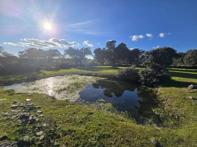Terreno en venta en Malpartida De Plasencia, Extremadura