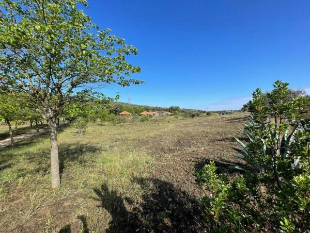Terreno en venta en Malpartida De Plasencia, Extremadura