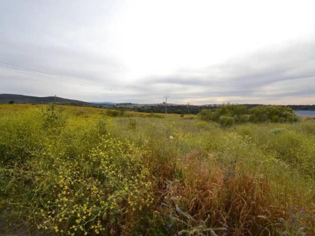 Terreno en venta en Malpartida De Plasencia, Extremadura