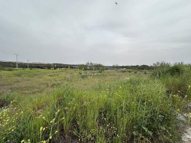 Terreno en venta en Malpartida De Plasencia, Extremadura
