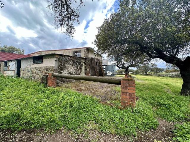 Terreno en venta en Malpartida De Plasencia, Extremadura