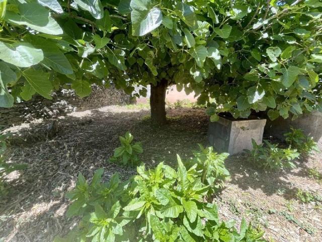 Terreno en venta en Malpartida De Plasencia, Extremadura