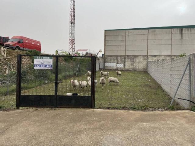 Terreno en venta en Malpartida De Plasencia, Extremadura