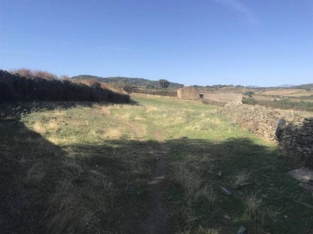 Terreno en venta en Malpartida De Plasencia, Extremadura