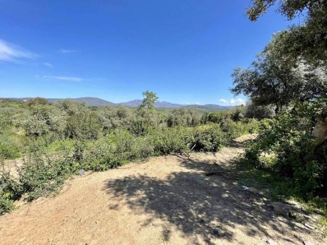Terreno en venta en Malpartida De Plasencia, Extremadura