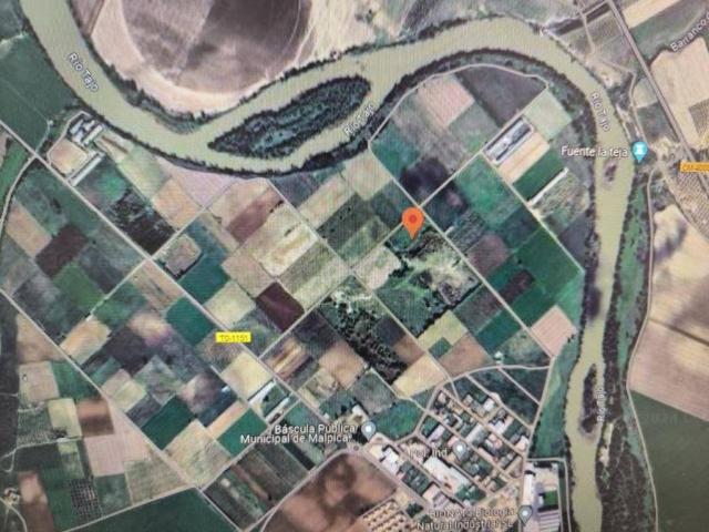 Terreno en venta en Malpica De Tajo, Castilla-La Mancha