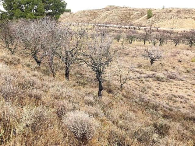 Terreno en venta en Comunidad de Calatayud, Aragón