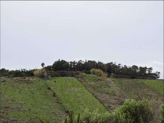 Terreno en venta en Costa del Sol Occidental, Andalucía