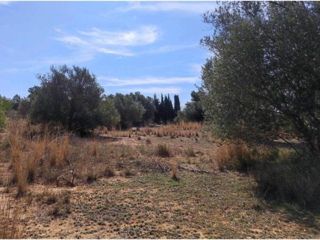 Terreno en venta en l'Horta Sud, Valencia