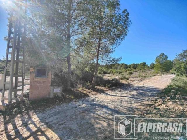 Terreno en venta en l'Horta Sud, Valencia