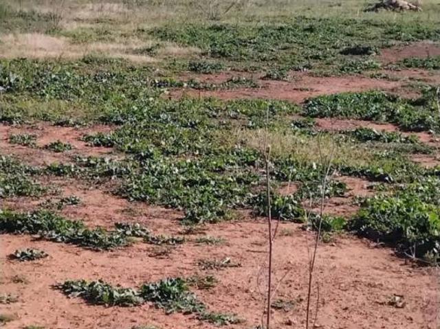 Terreno en venta en Manises, València / Valencia