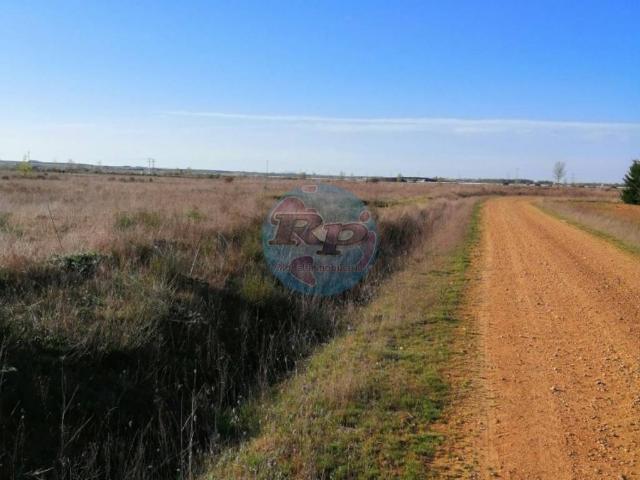Terreno en venta en Mansilla De Las Mulas, Castilla y León