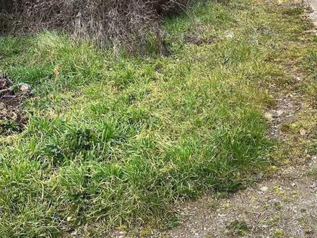 Terreno en venta en Manzanal Del Barco, Castilla y León