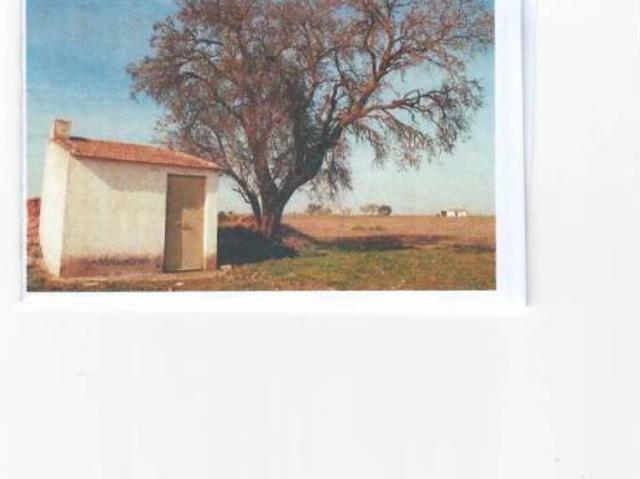 Terreno en venta en Manzanares, Castilla-La Mancha