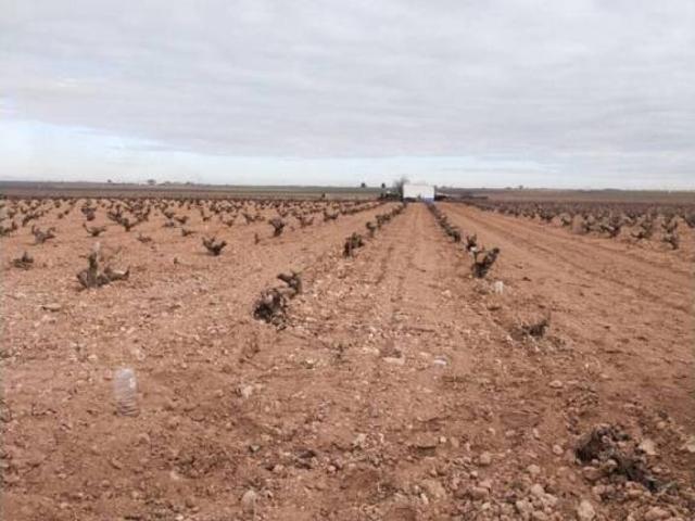 Terreno en venta en Manzanares, Castilla-La Mancha