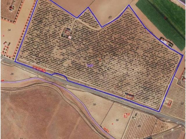 Terreno en venta en Manzanares, Castilla-La Mancha