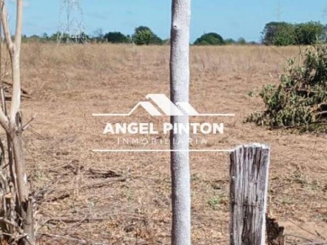 Terreno en venta en Maracaibo, Zulia